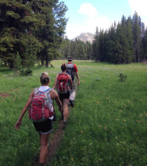 Yellowstone National Park Hikers